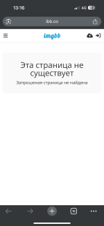 IMG_1519.png