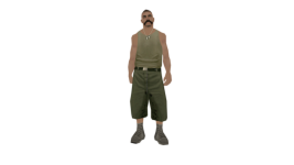 AWINvpv.png