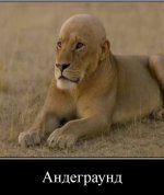 IMG_0892.jpeg