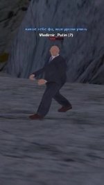 8894.jpg