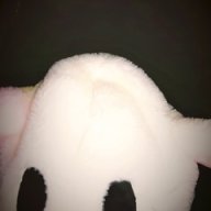 Aleks_Haurma