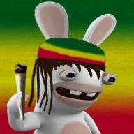 Rimus_Tramixed
