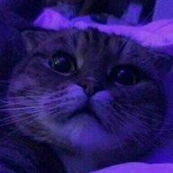 Sako_Wrens