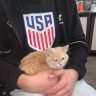 Kit_Hootdager